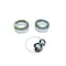 Bedford Precision Parts Bedford Precision Kit, 15:1 President Teflon for Graco 218-559 20-1385 - alternate 1